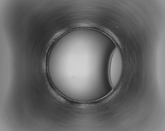 X0000116510938200912090944