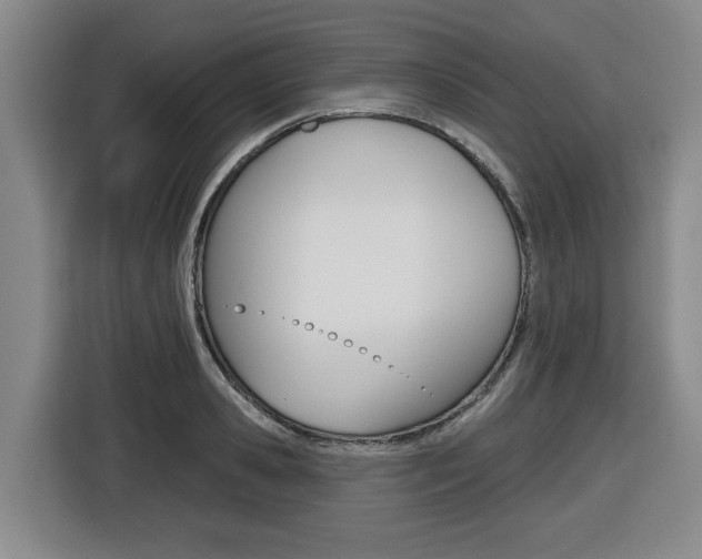 X0000116510941200912090944