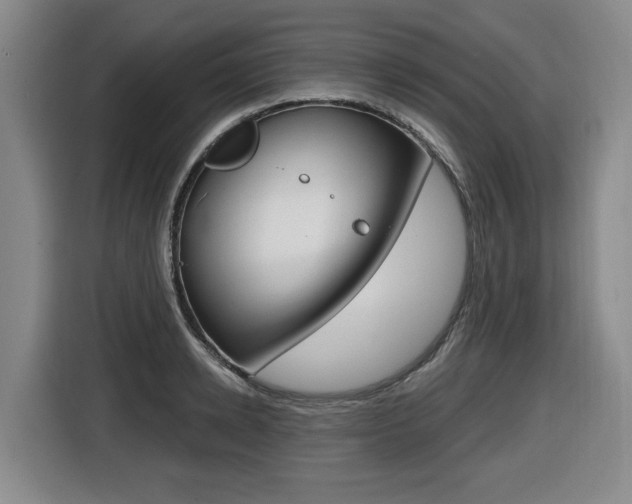 X0000116510942200912090944