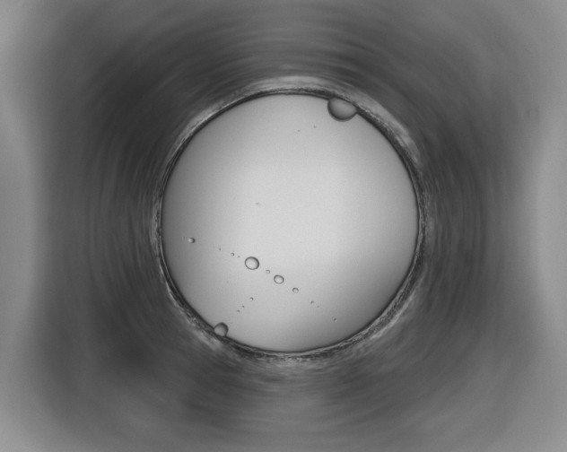 X0000116510945200912090944