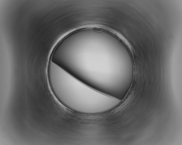 X0000116510951200912090944