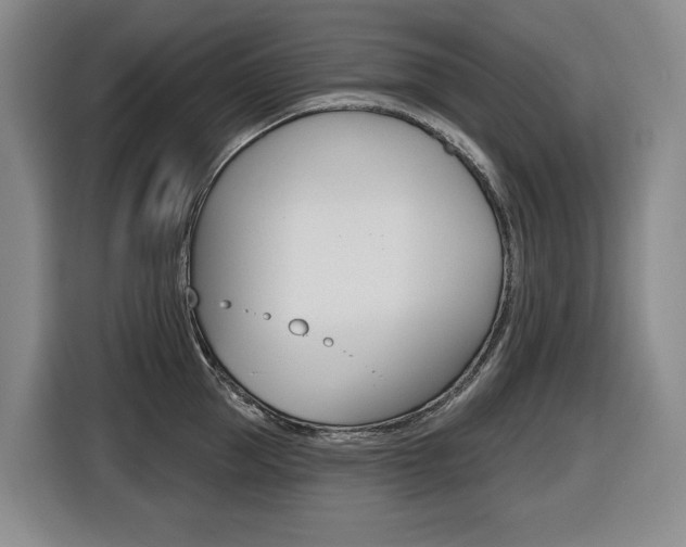 X0000116510953200912090944