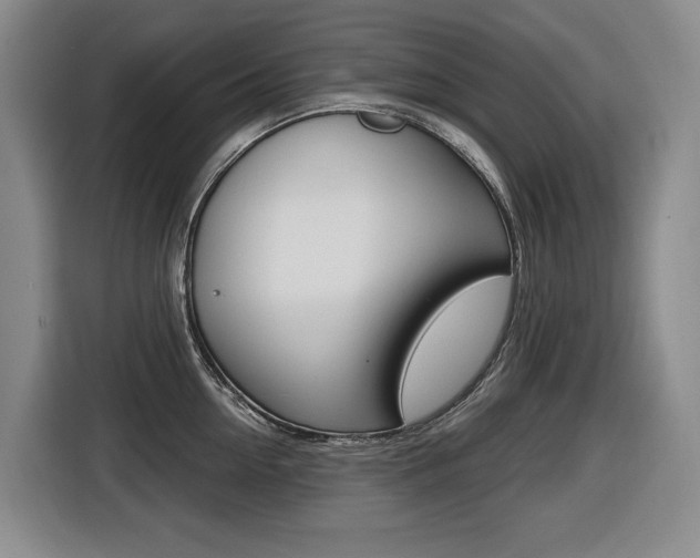 X0000116510954200912090944