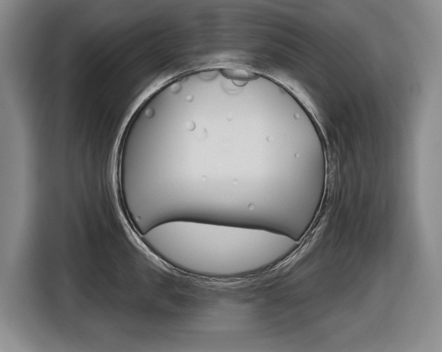 X0000116510957200912090944