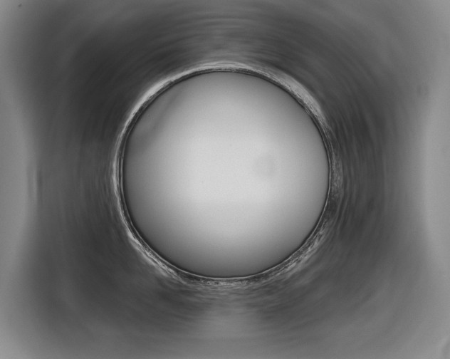 X0000116510958200912090945