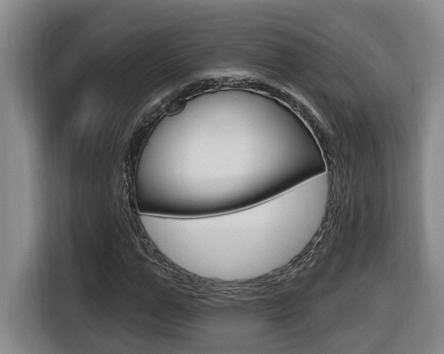 X0000116510967200912090944