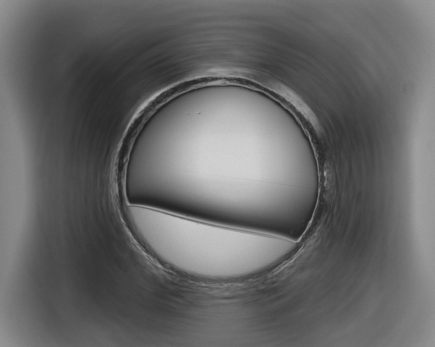 X0000116510972200912090944