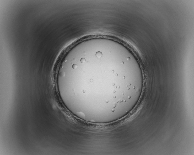 X0000116510974200912090944