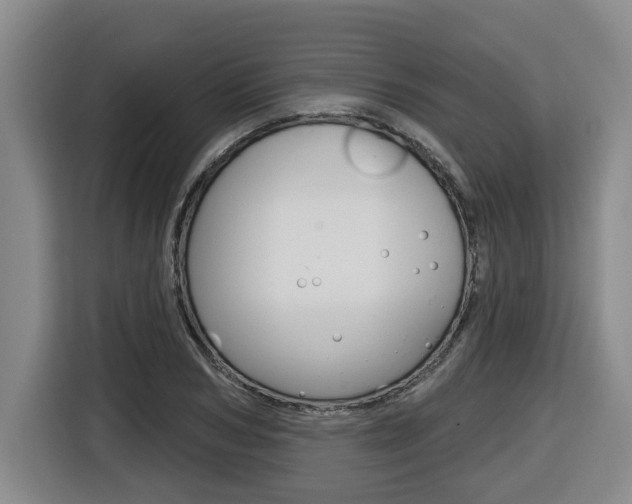 X0000116510978200912090944