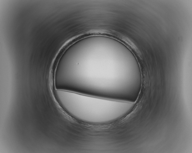 X0000116510984200912090944