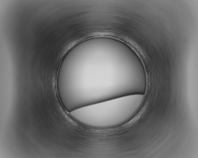 X0000116510985200912090944