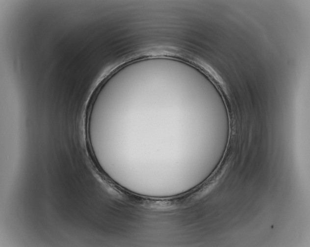 X0000116510986200912090944