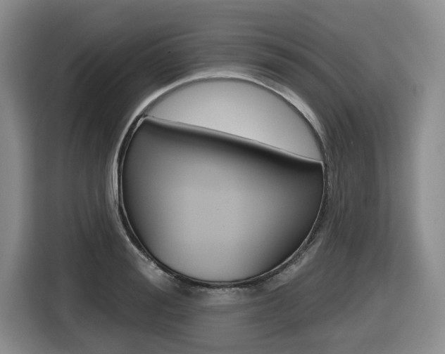 X0000116510988200912090944
