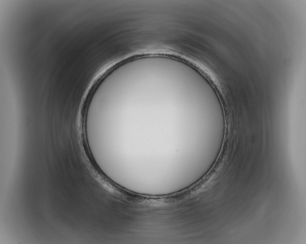 X0000116510990200912090944