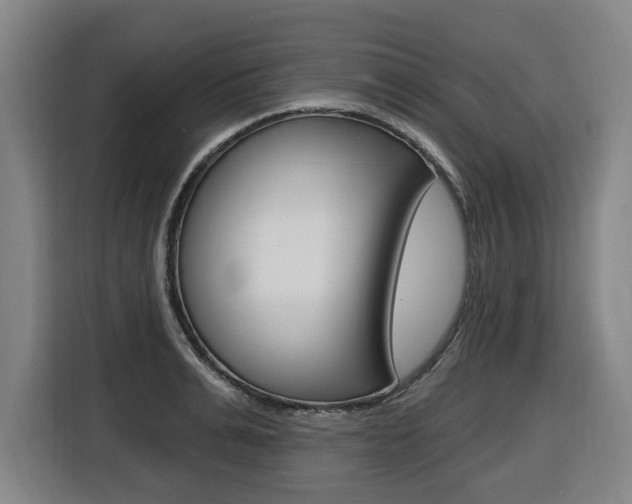 X0000116510991200912090944