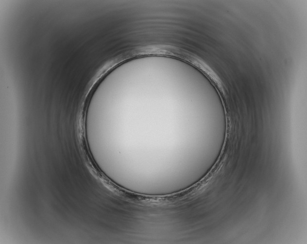 X0000116510994200912090943