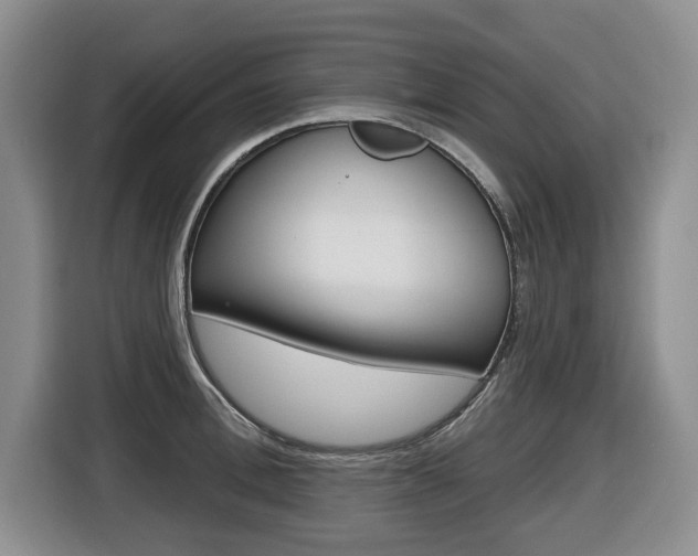 X0000116510996200912090943