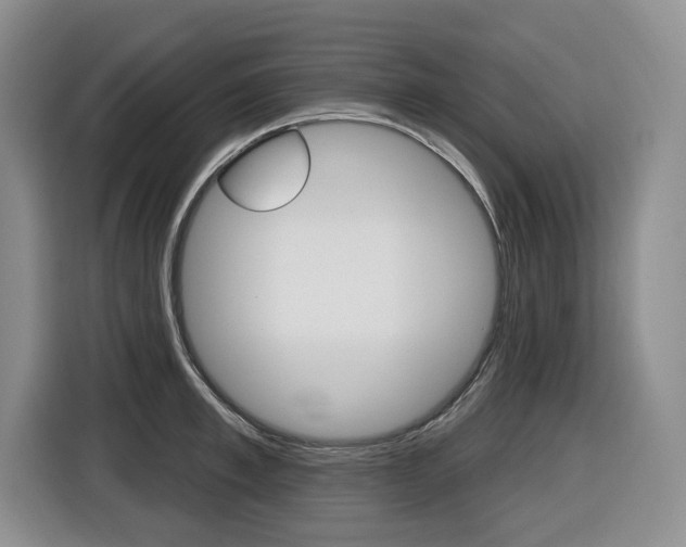 X0000116510997200912090943