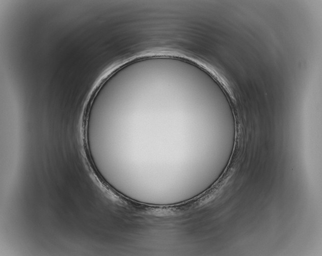 X0000116510998200912090943