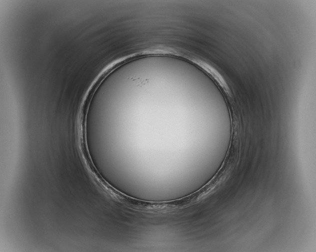 X0000116511000200912090943