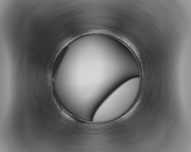 X0000116511001200912090943