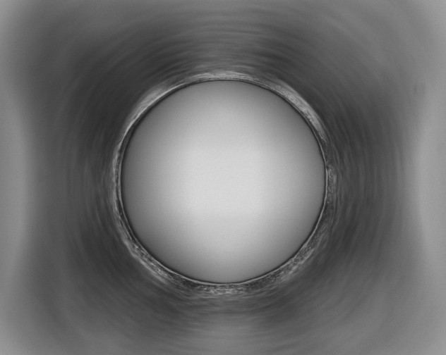X0000116511002200912090943