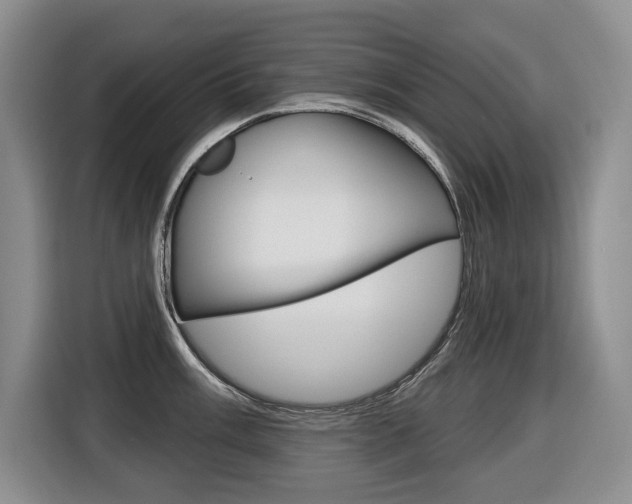 X0000116511003200912090943