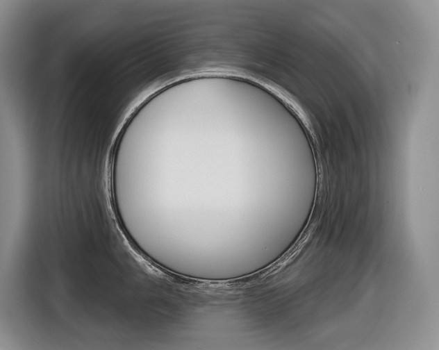 X0000116511006200912090943