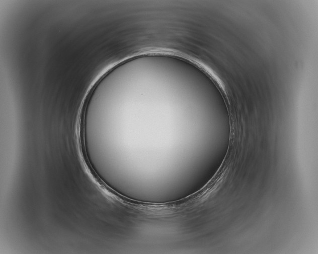X0000116511007200912090943