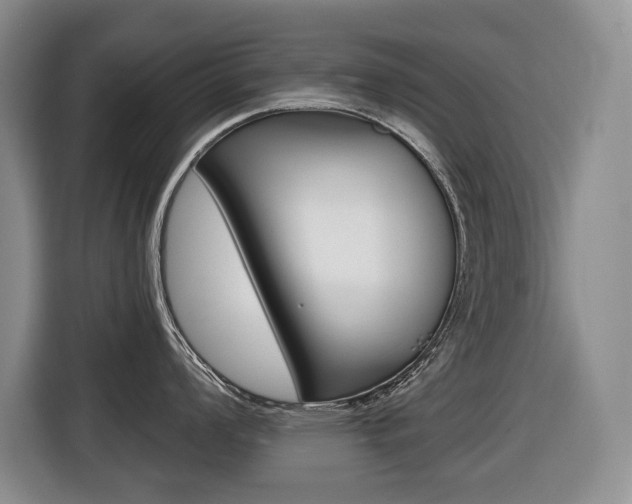 X0000116511008200912090943