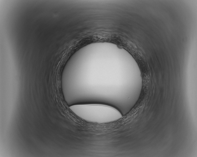 X0000116511009200912090943