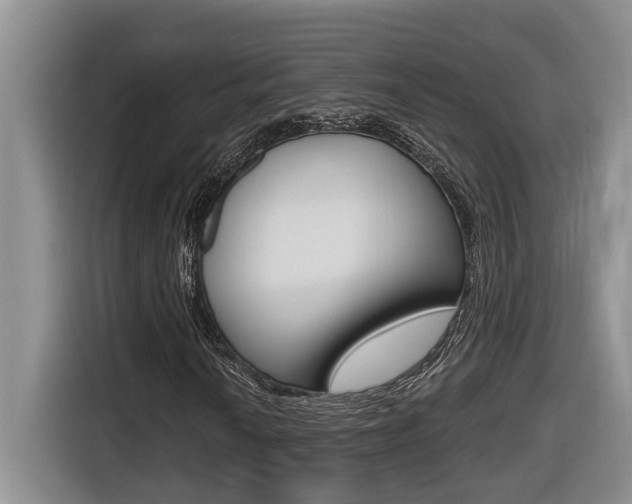 X0000116511010200912090943
