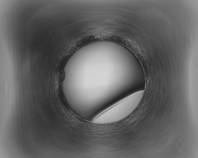 X0000116511012200912090943