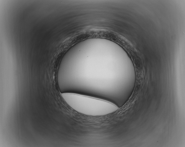 X0000116511013200912090943