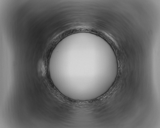X0000116511015200912090943