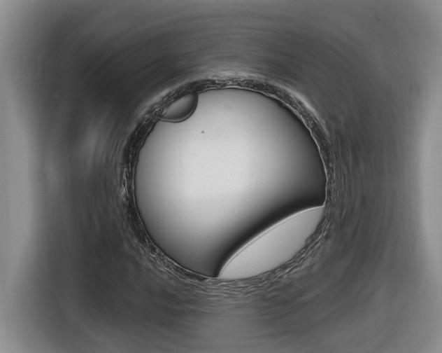 X0000116511016200912090943