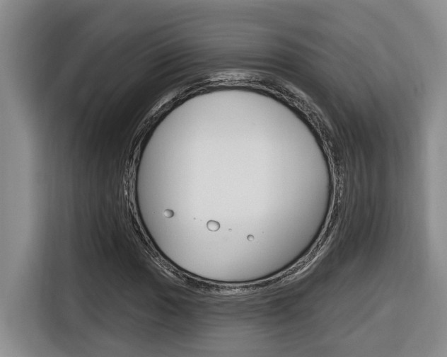 X0000116511017200912090943