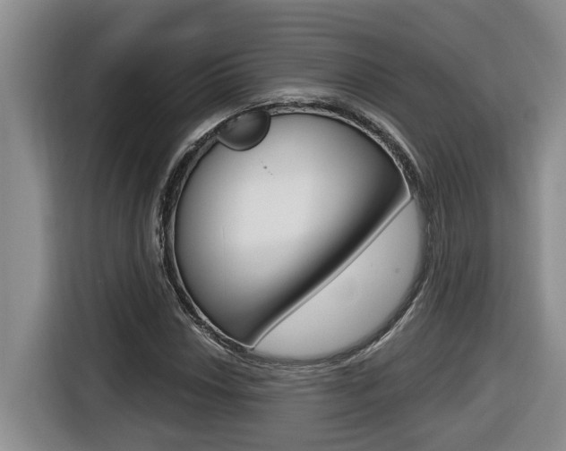 X0000116511018200912090943
