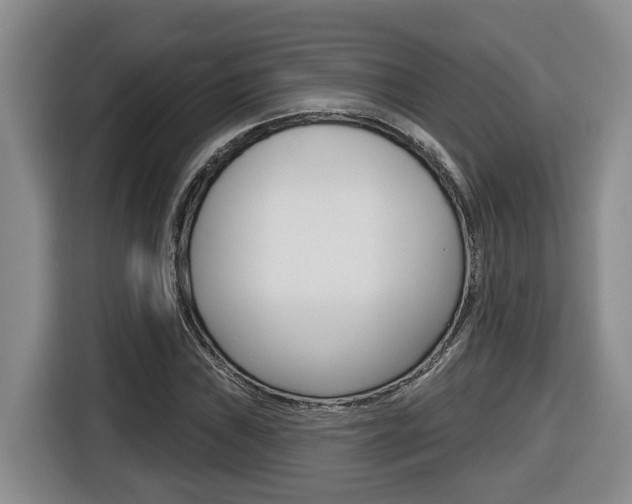 X0000116511019200912090943