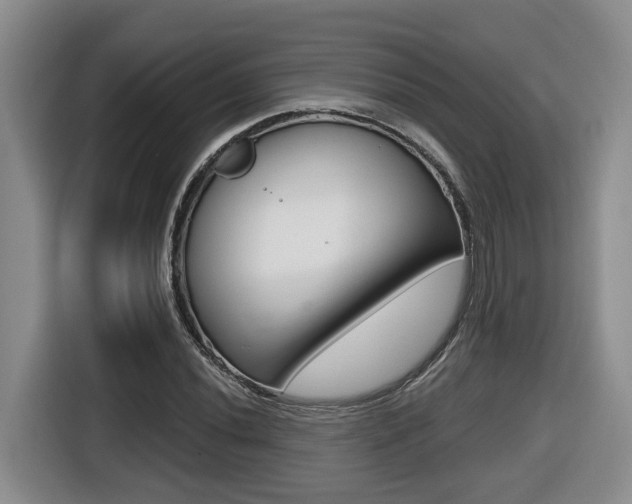 X0000116511020200912090943