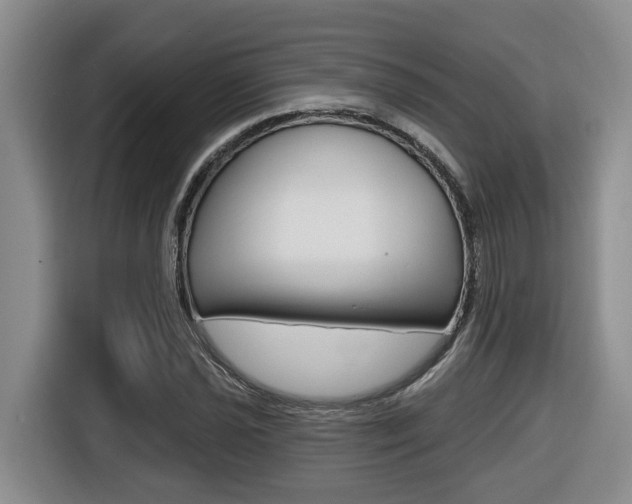 X0000116511021200912090943