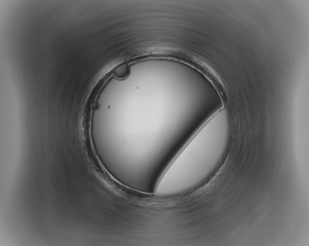 X0000116511026200912090943