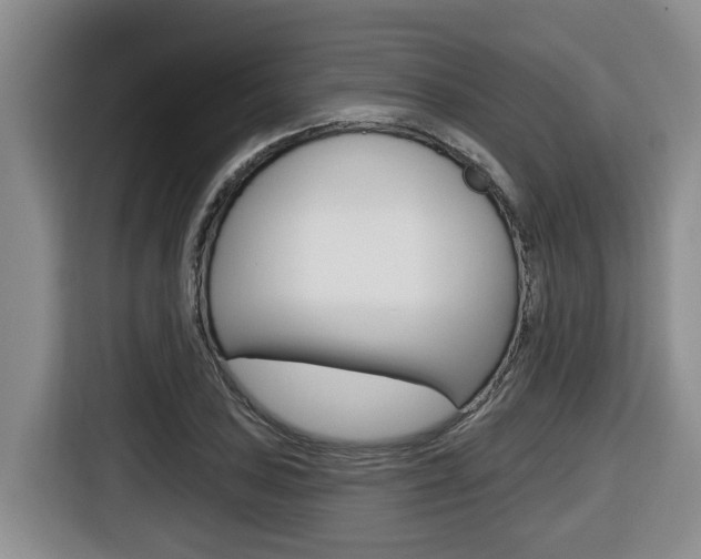 X0000116511027200912090943