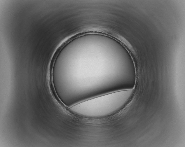 X0000116511028200912090943