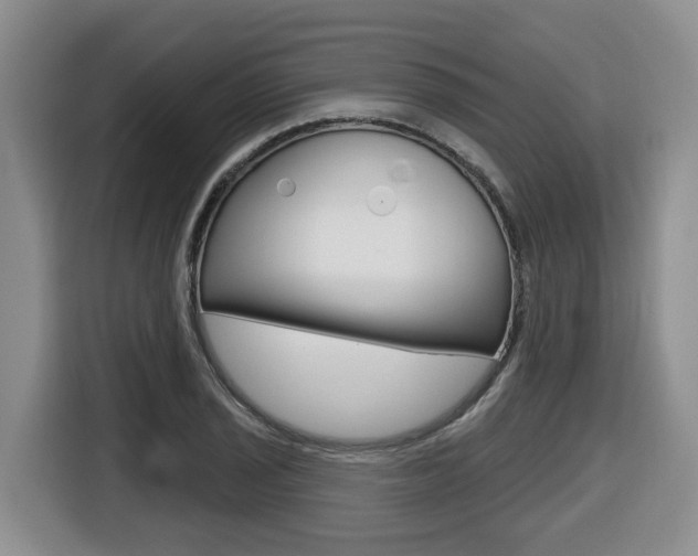 X0000116511029200912090943