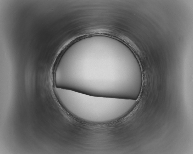 X0000116511031200912090943
