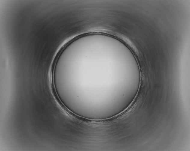X0000116511032200912090943
