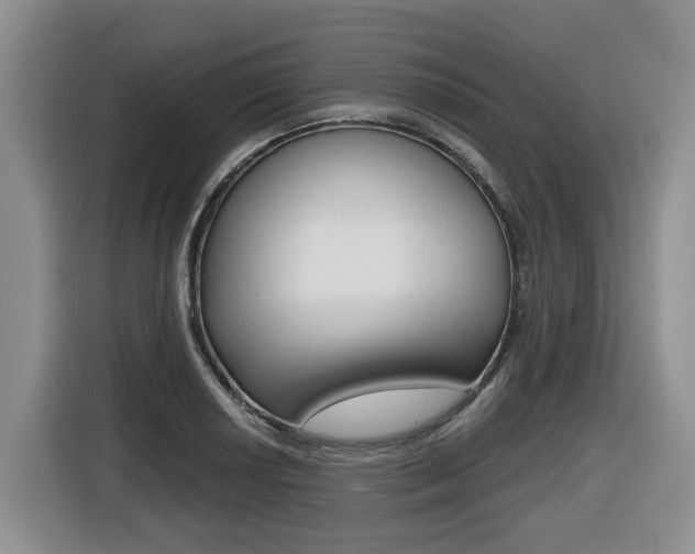X0000116511034200912090943