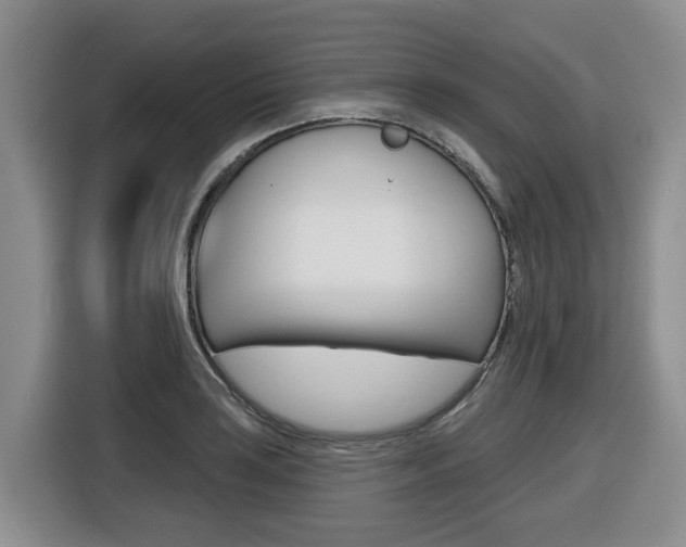 X0000116511035200912090943