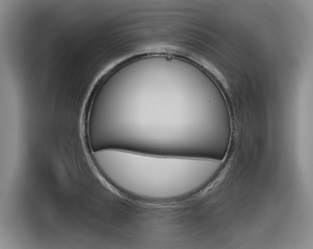 X0000116511037200912090943